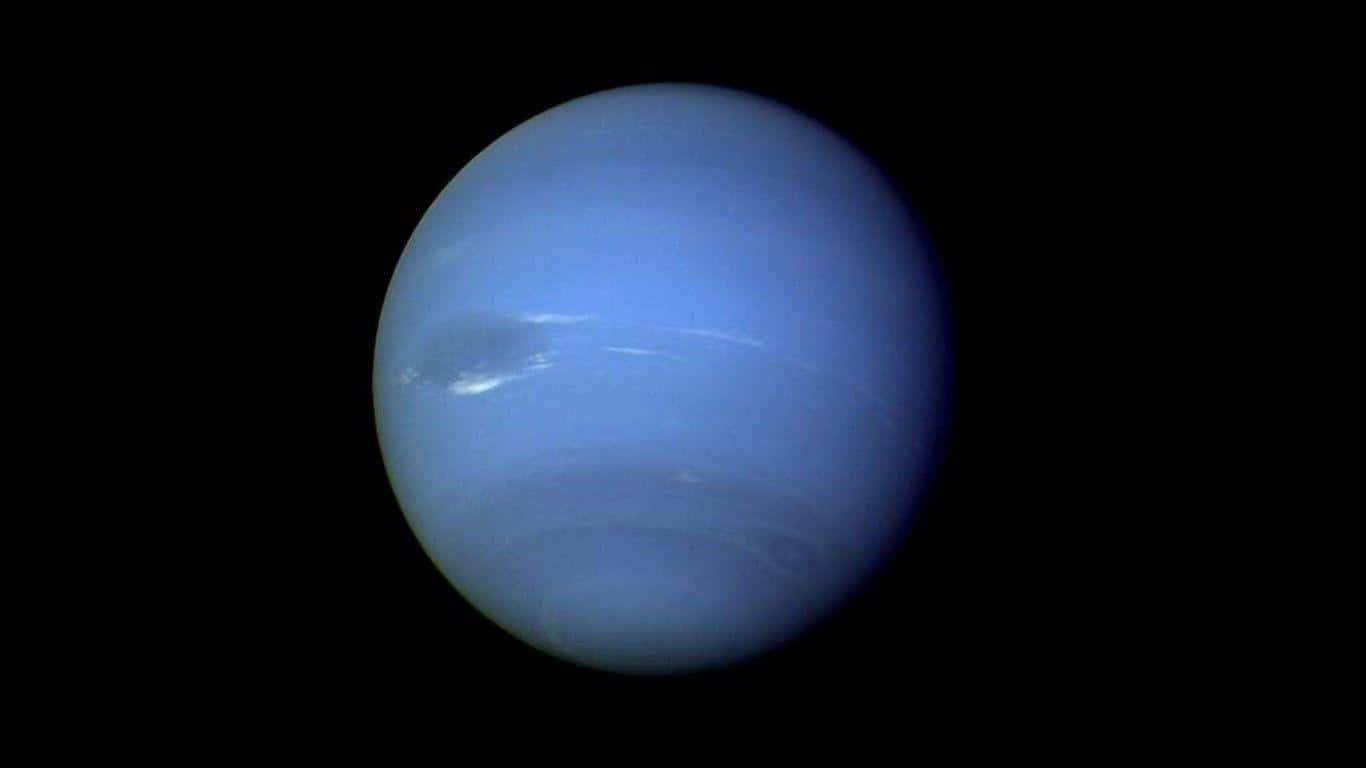 Denmajestätiska Skönheten Hos Neptunus