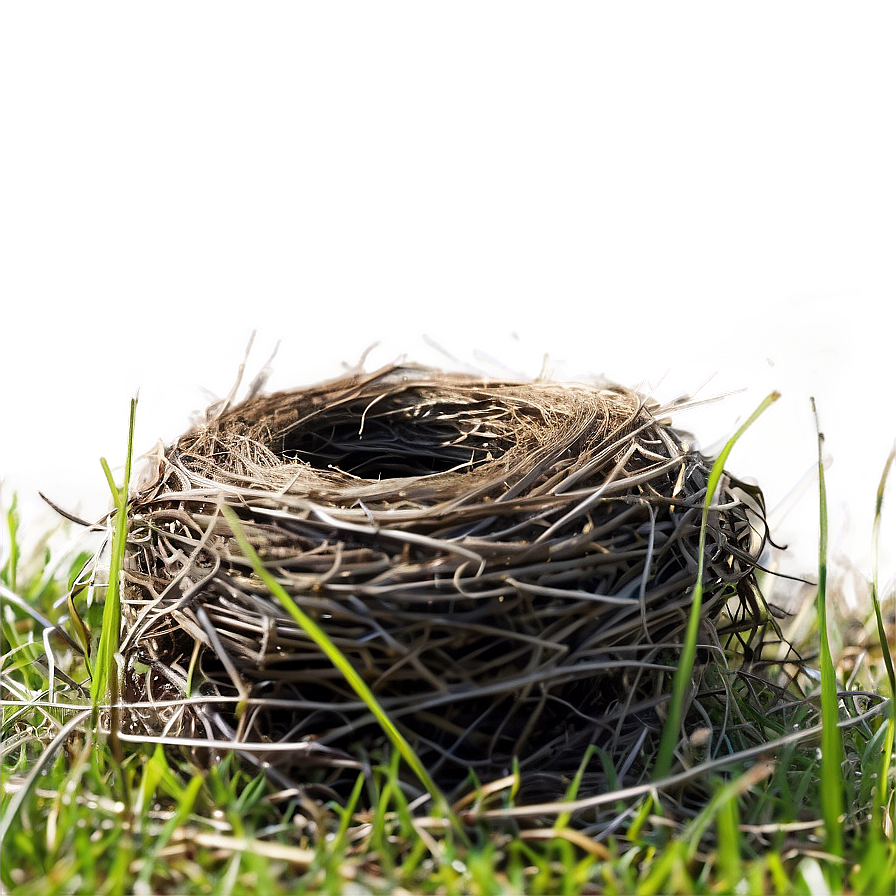 Nest In Meadow Png 86 PNG