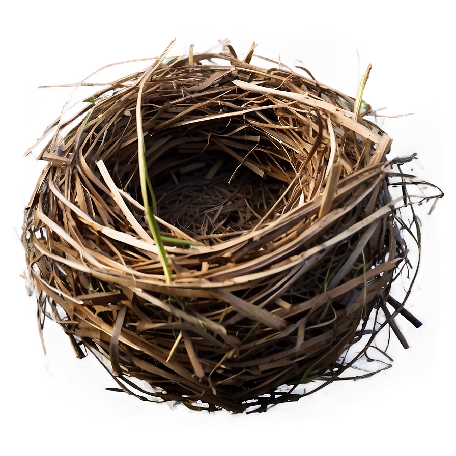 Nest In Meadow Png Byt PNG