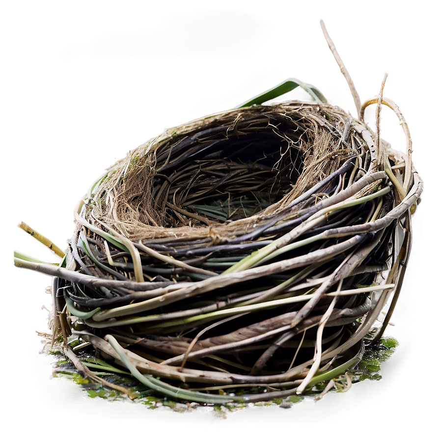 Nest On Ground Png 10 PNG