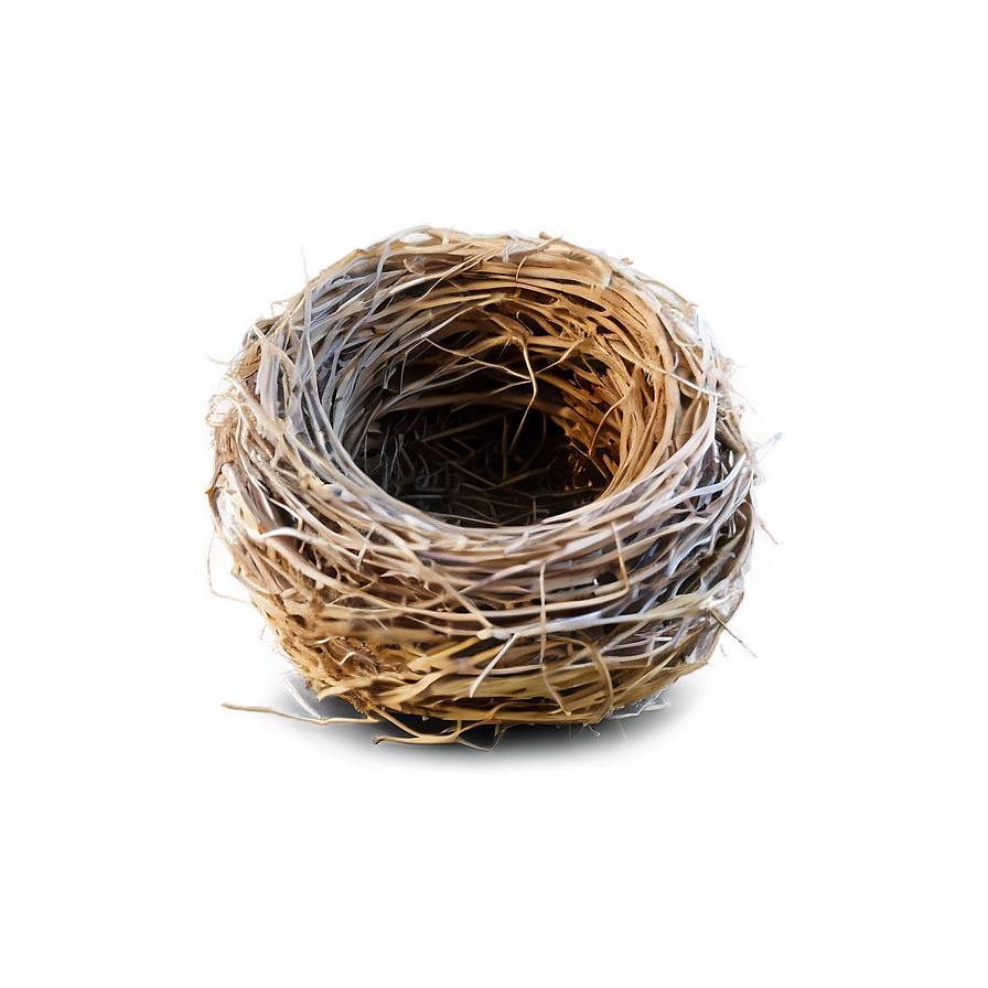 Nest Outline Png Vcl PNG