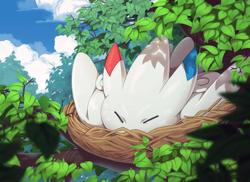 Nesting Togekiss Picture