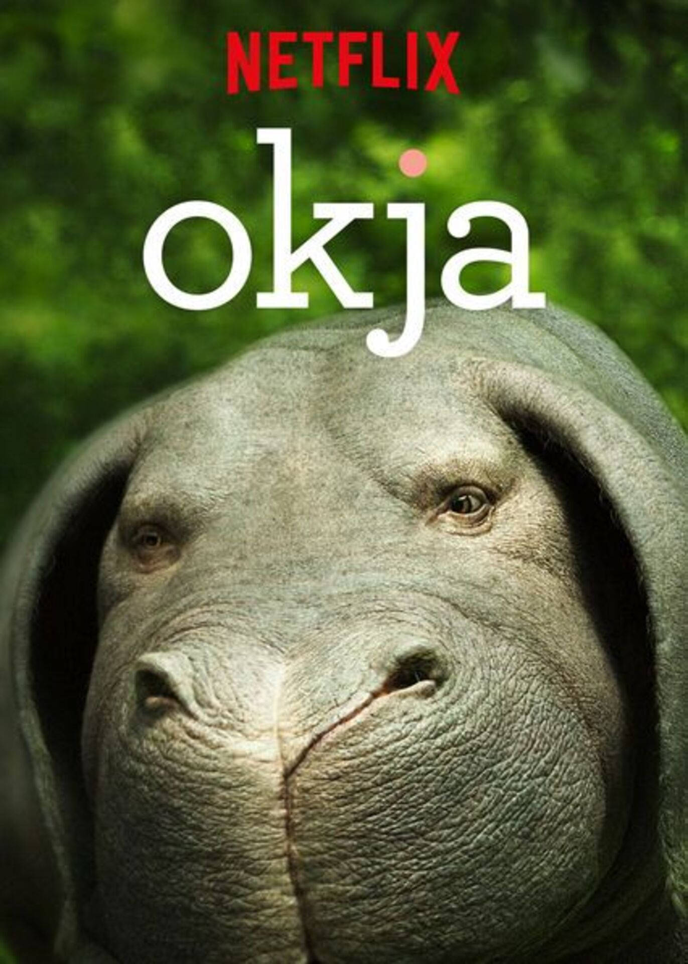 Netflix Super Pig Okja