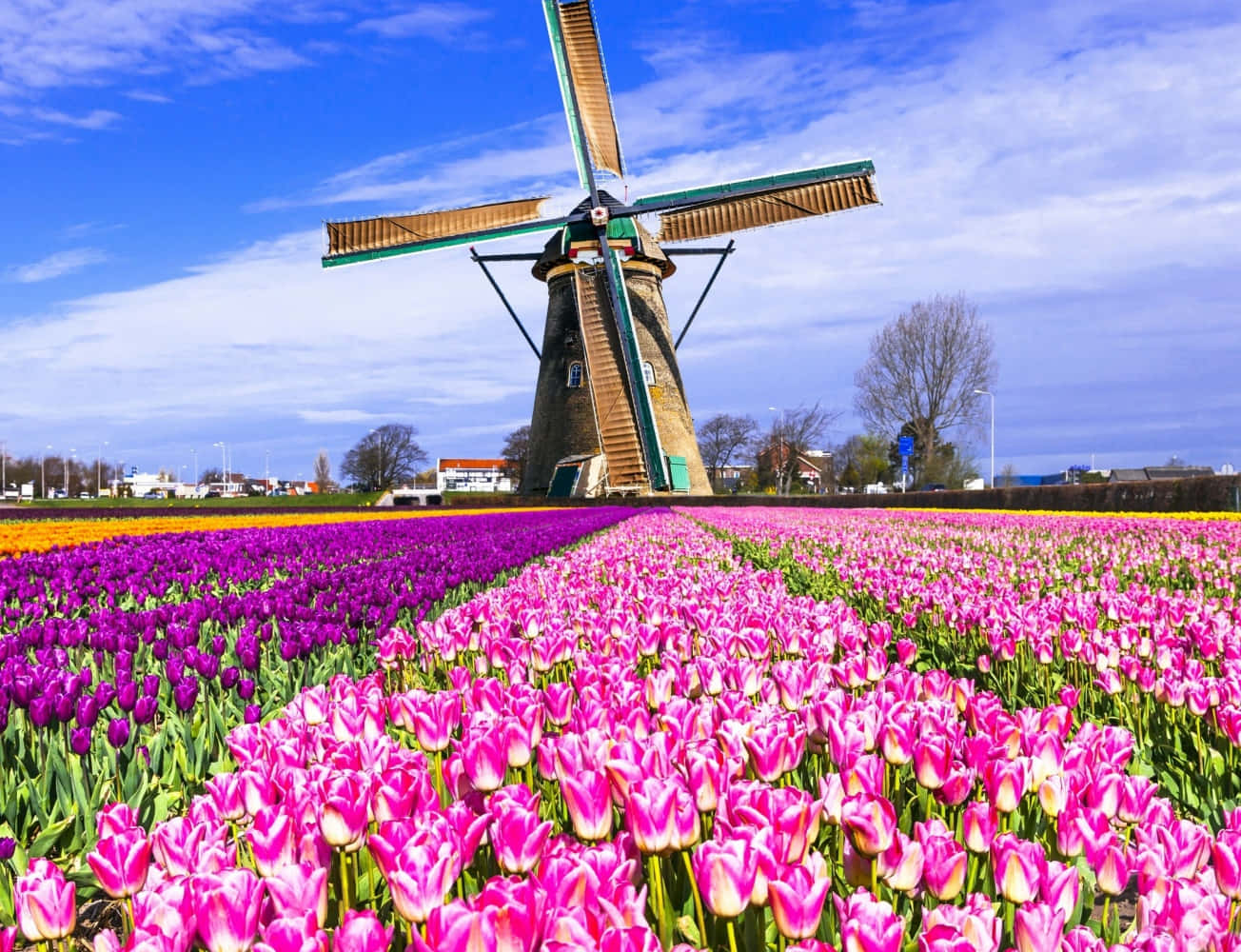 The iconic windmills of Kinderdijk, Netherlands