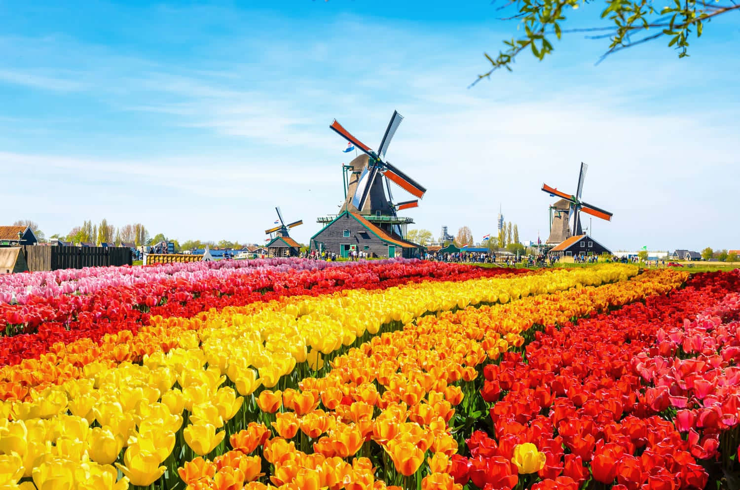The Stunning Netherlands