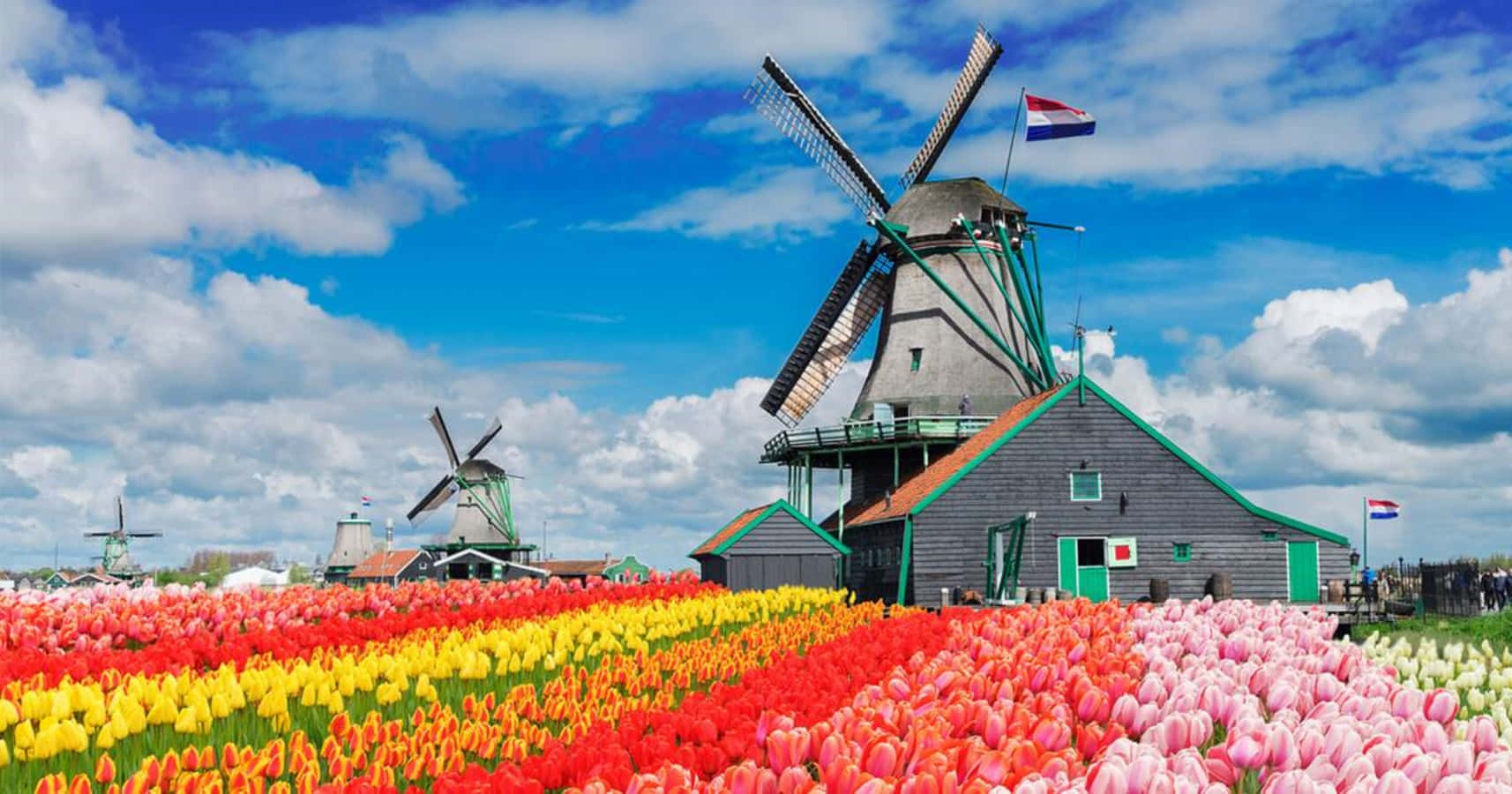 Enjoy the Dutch Countryside