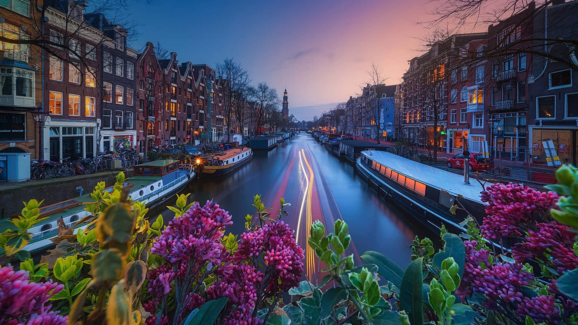 Explore the vibrant canals, cypress trees and iconic Dutch architecture in the Netherlands