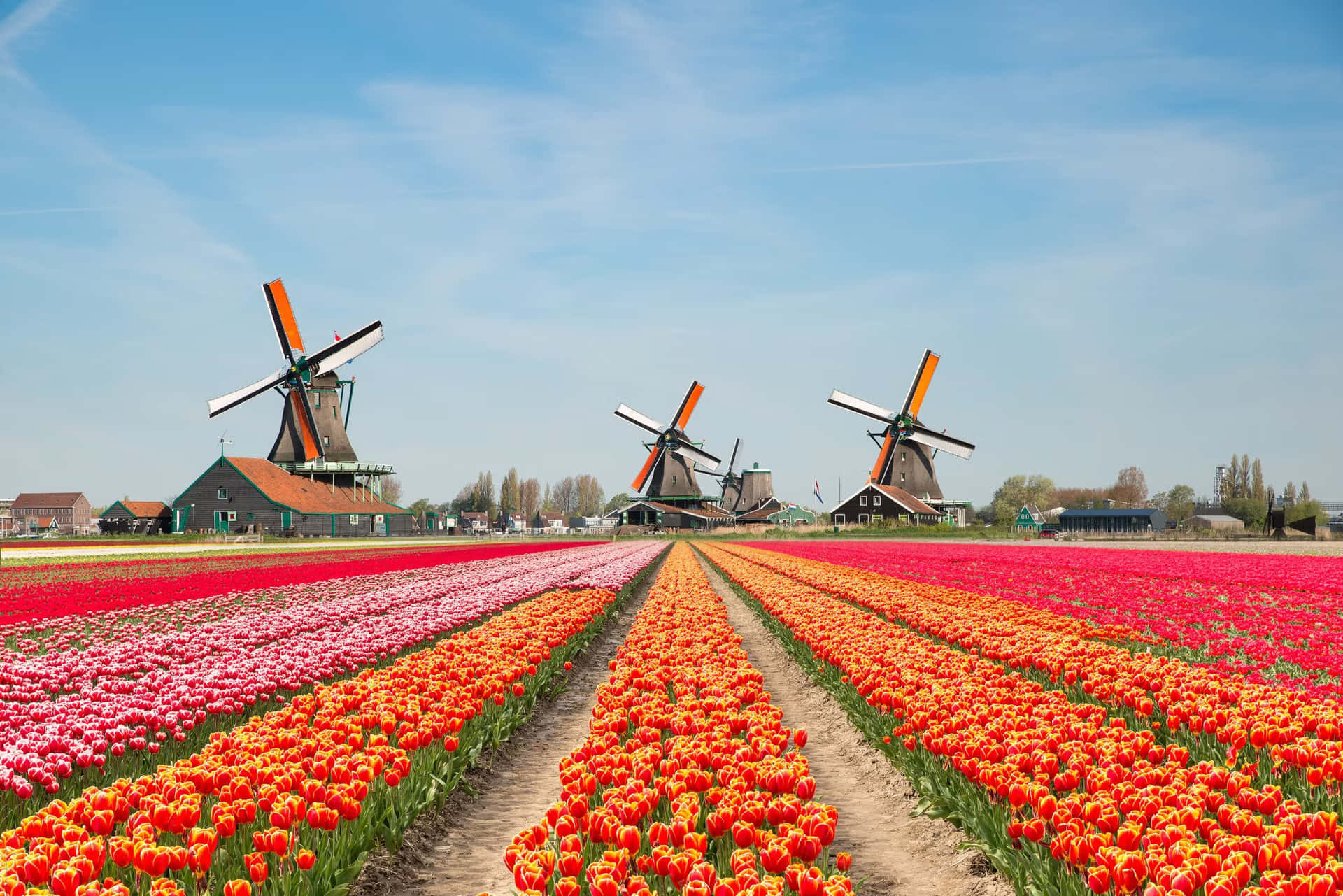 Explore the beauty of the Netherlands