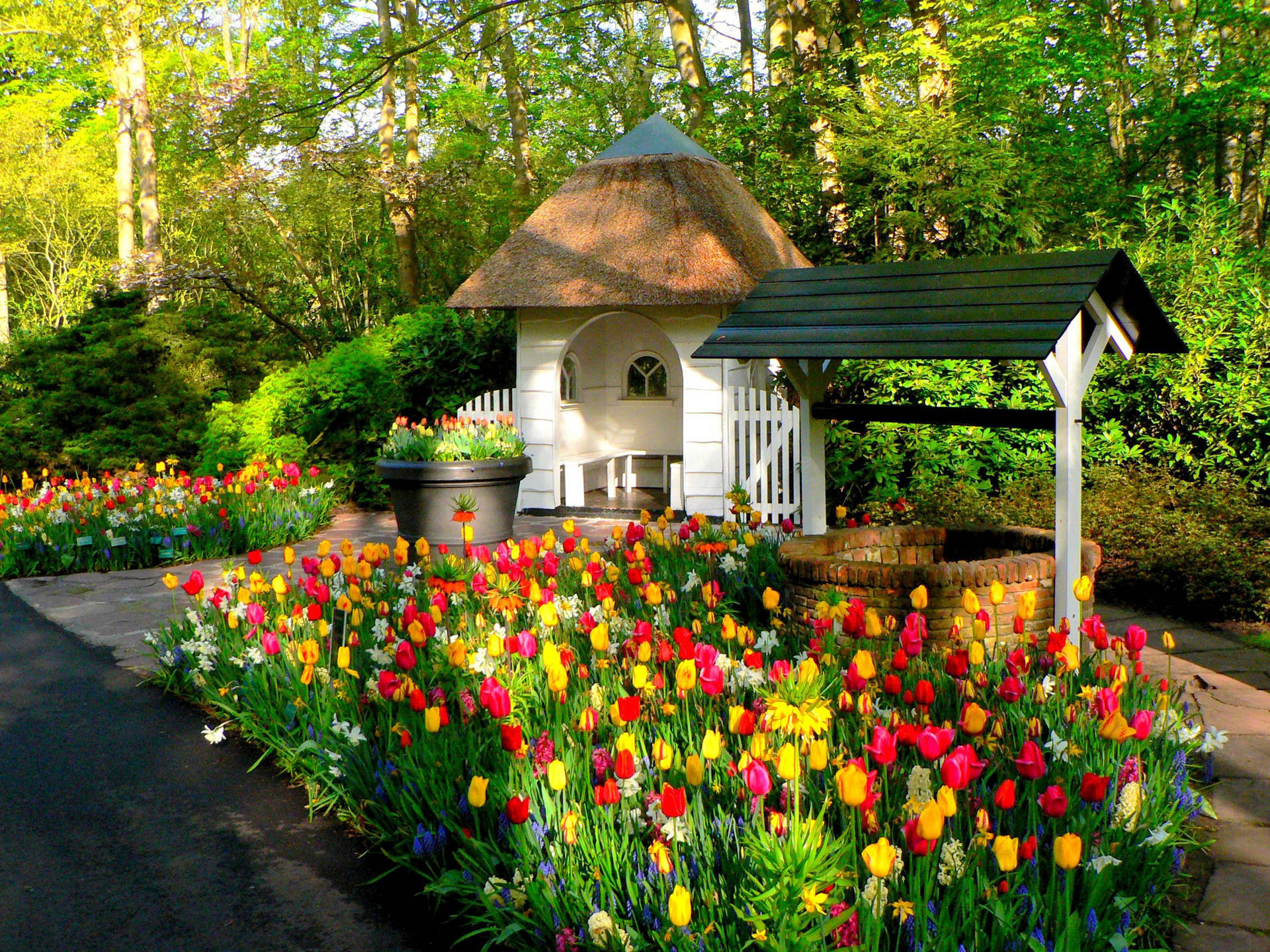 Netherlands Keuhenhof Tulips Garden