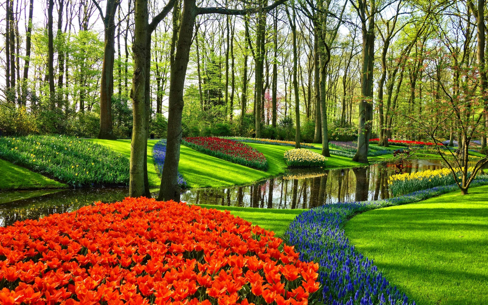 Netherlands Lush Flower Park