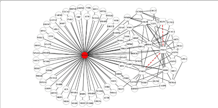 Network Analysis Graph PNG