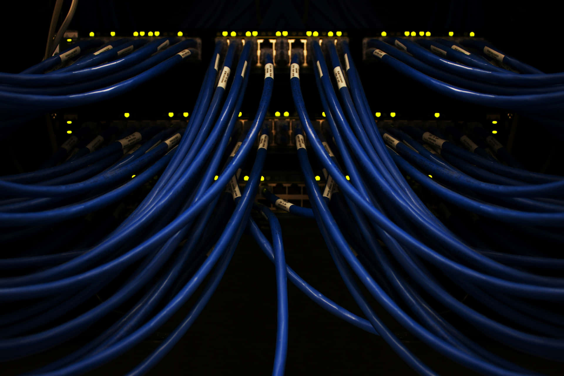 Network Cable Managementin Server Room Wallpaper