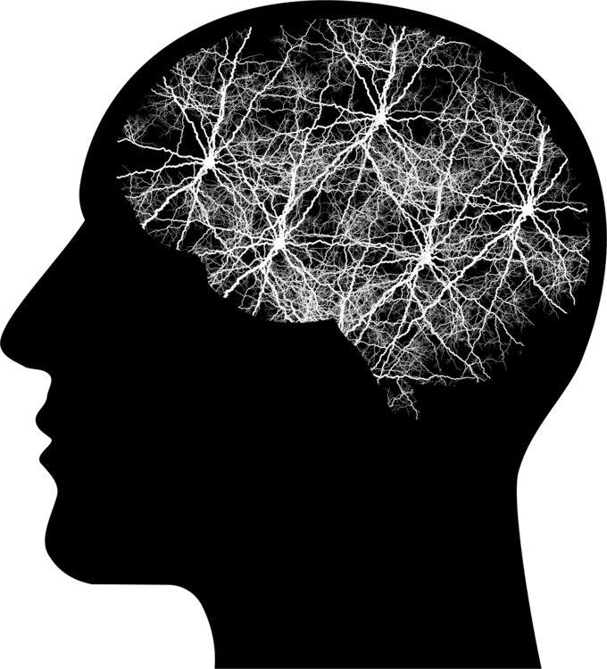 Neural Network Brain Clipart PNG