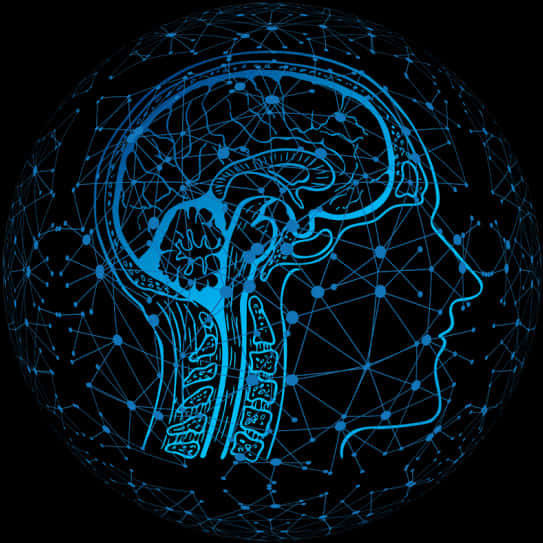 Neural Network Brain Illustration PNG