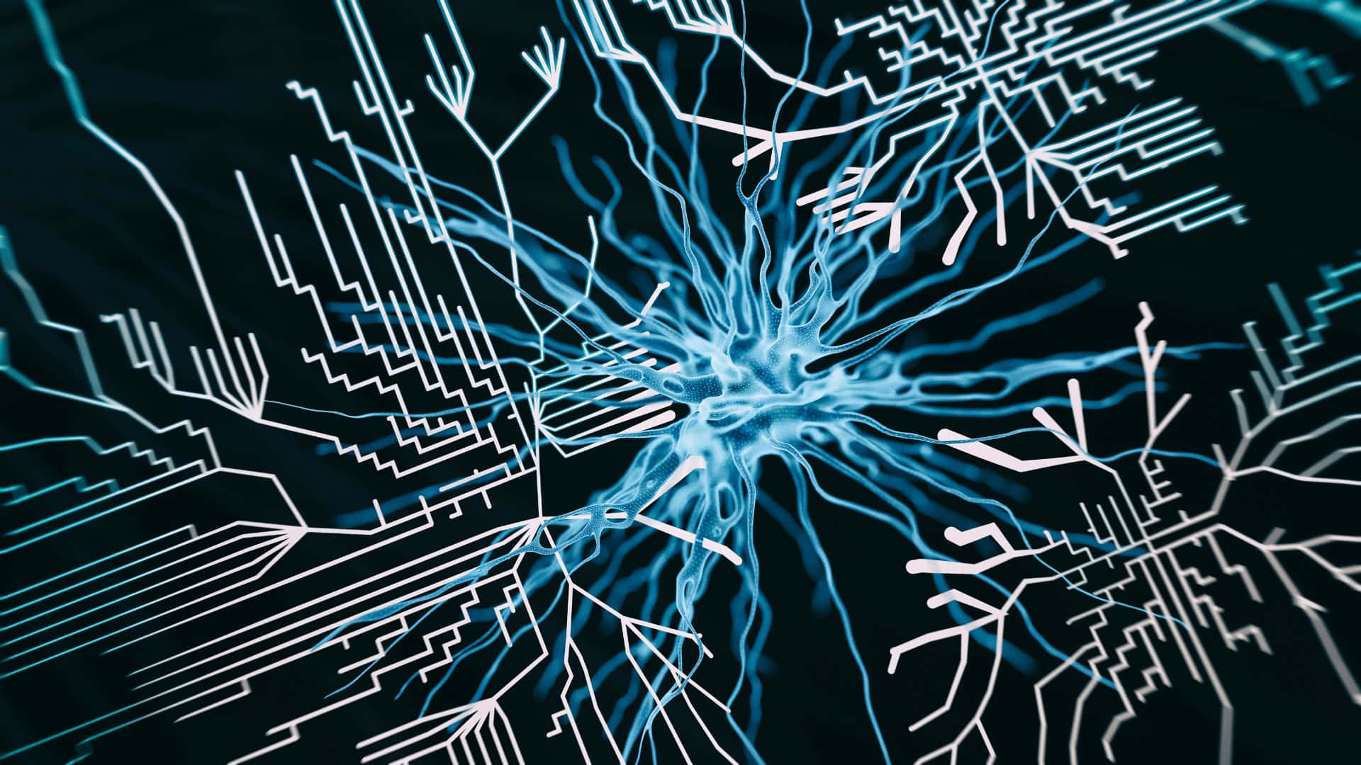 Neural Network Circuitry Visualization Wallpaper