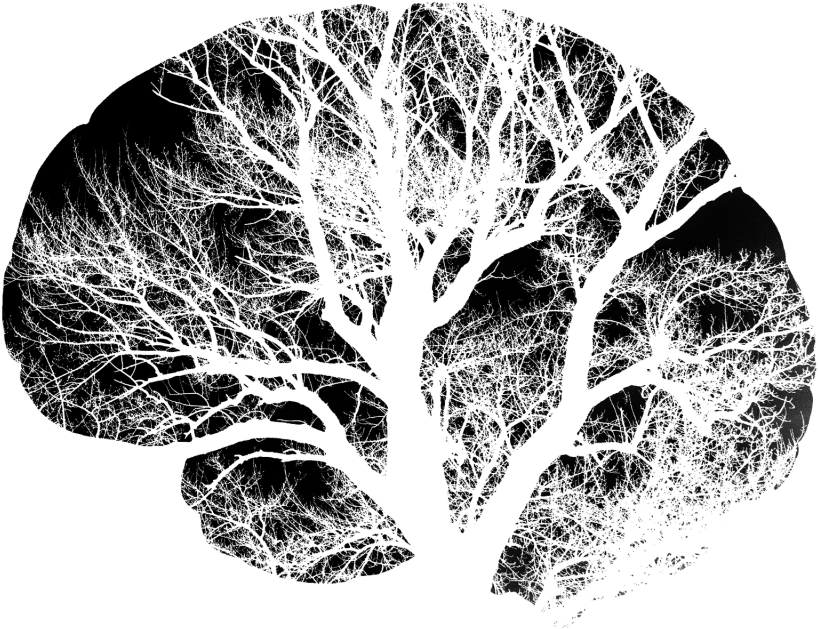 Neural Tree Brain Illustration PNG