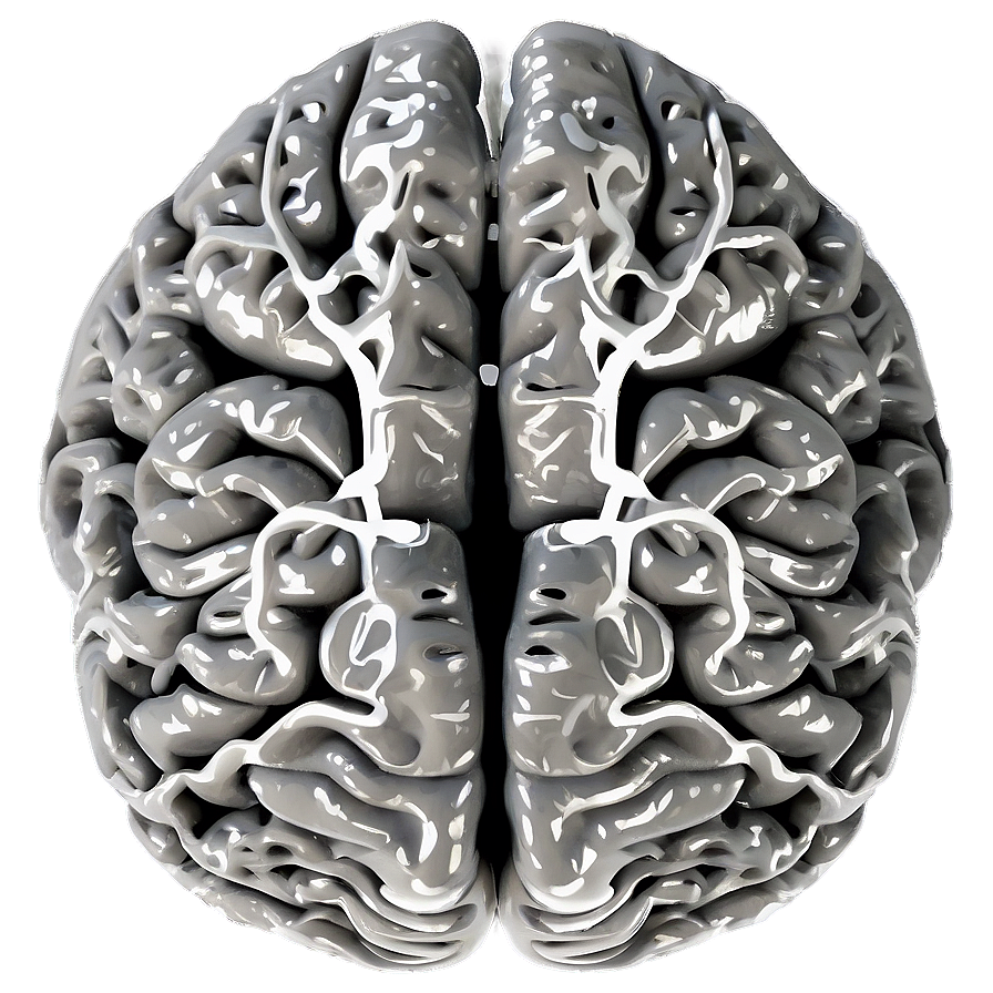 Neurology Brain Outline Png Vaq PNG