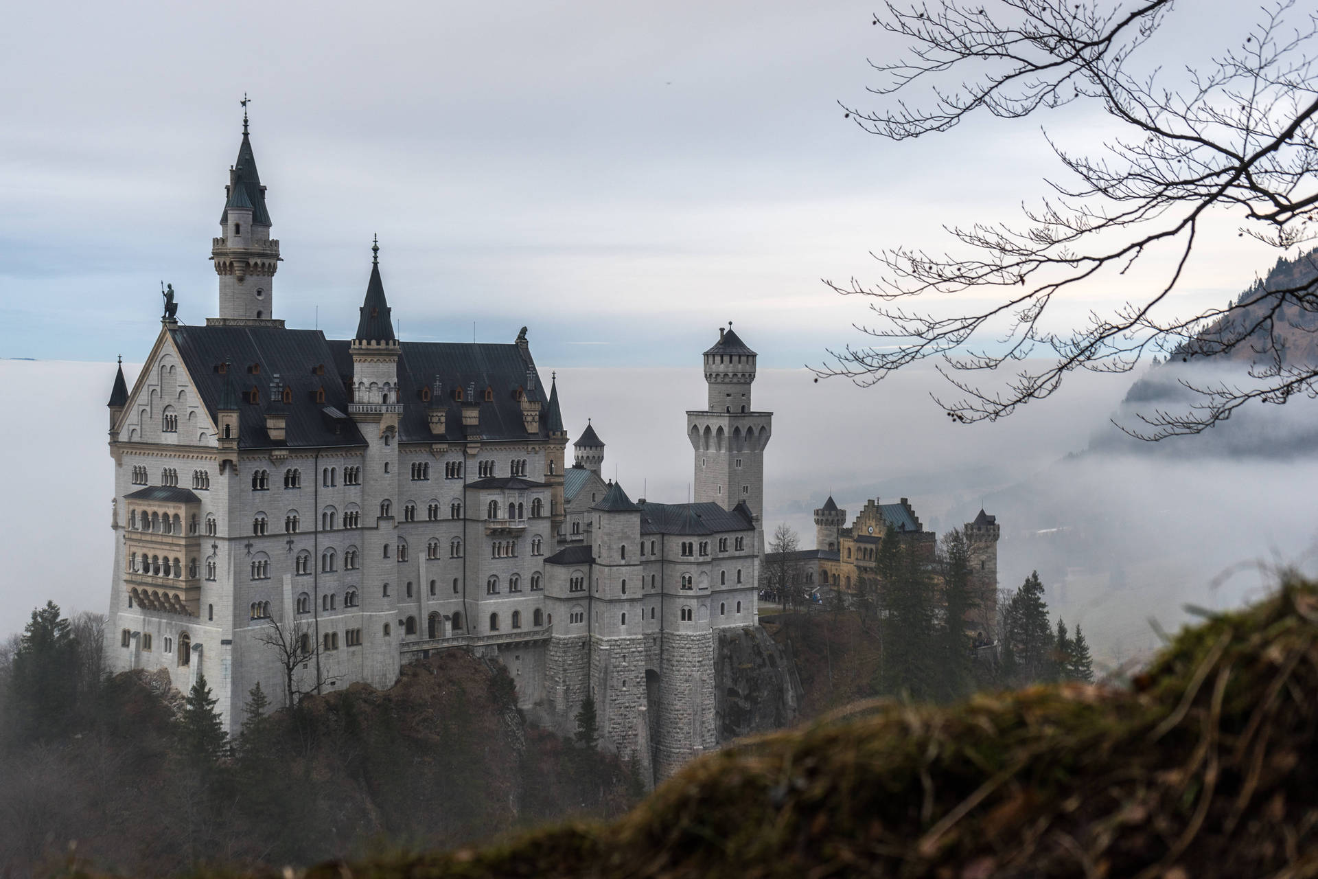 Neuschwansteinschloss Im Nebel Bedeckter Wald Wallpaper