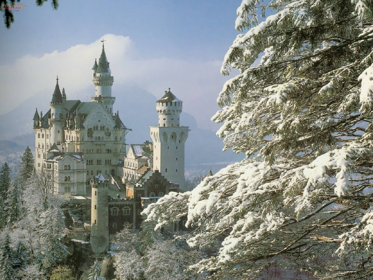 Neuschwanstein Castle Snow-Covered Tree Wallpaper