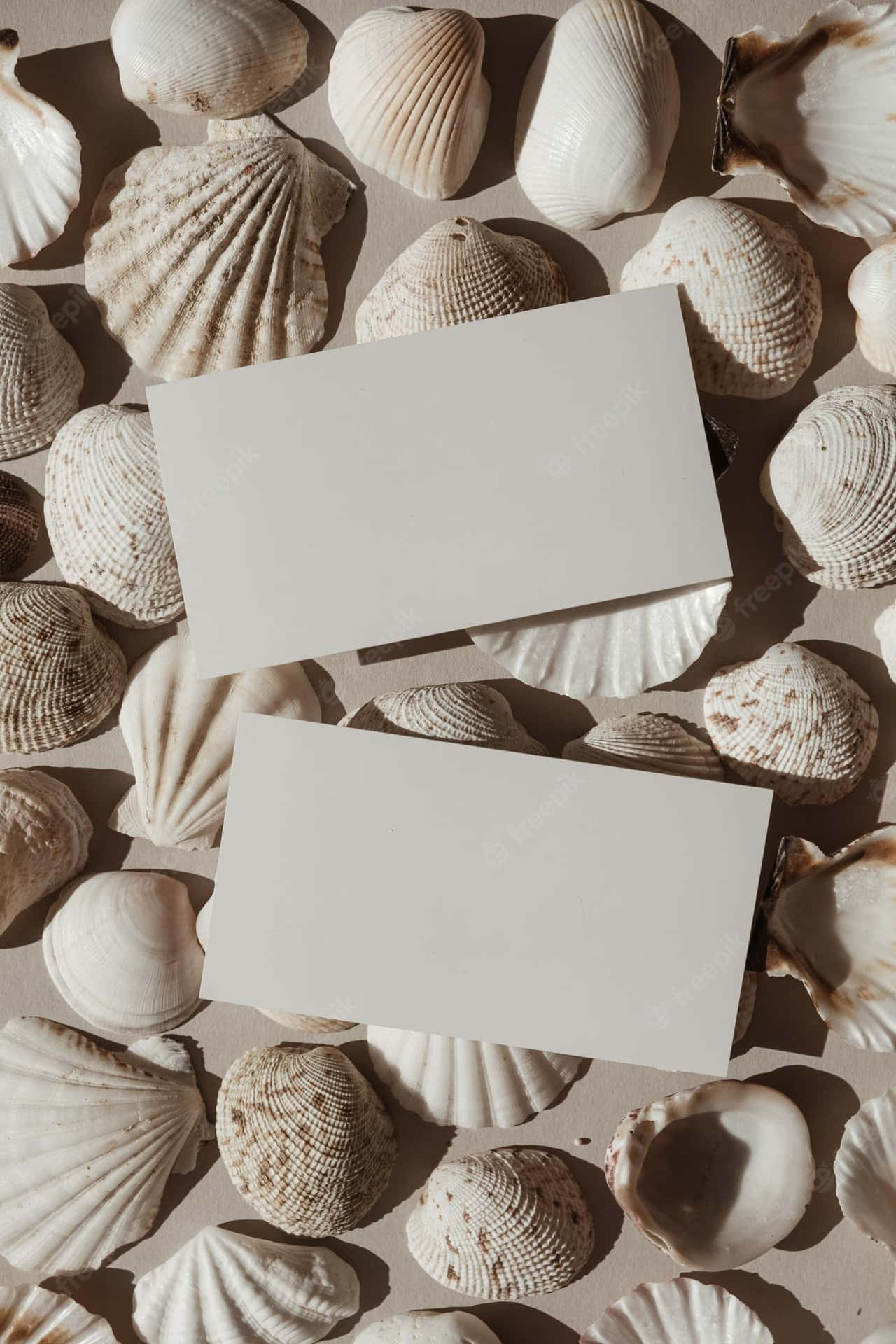 A White Card Is Laying On A Pile Of Seashells