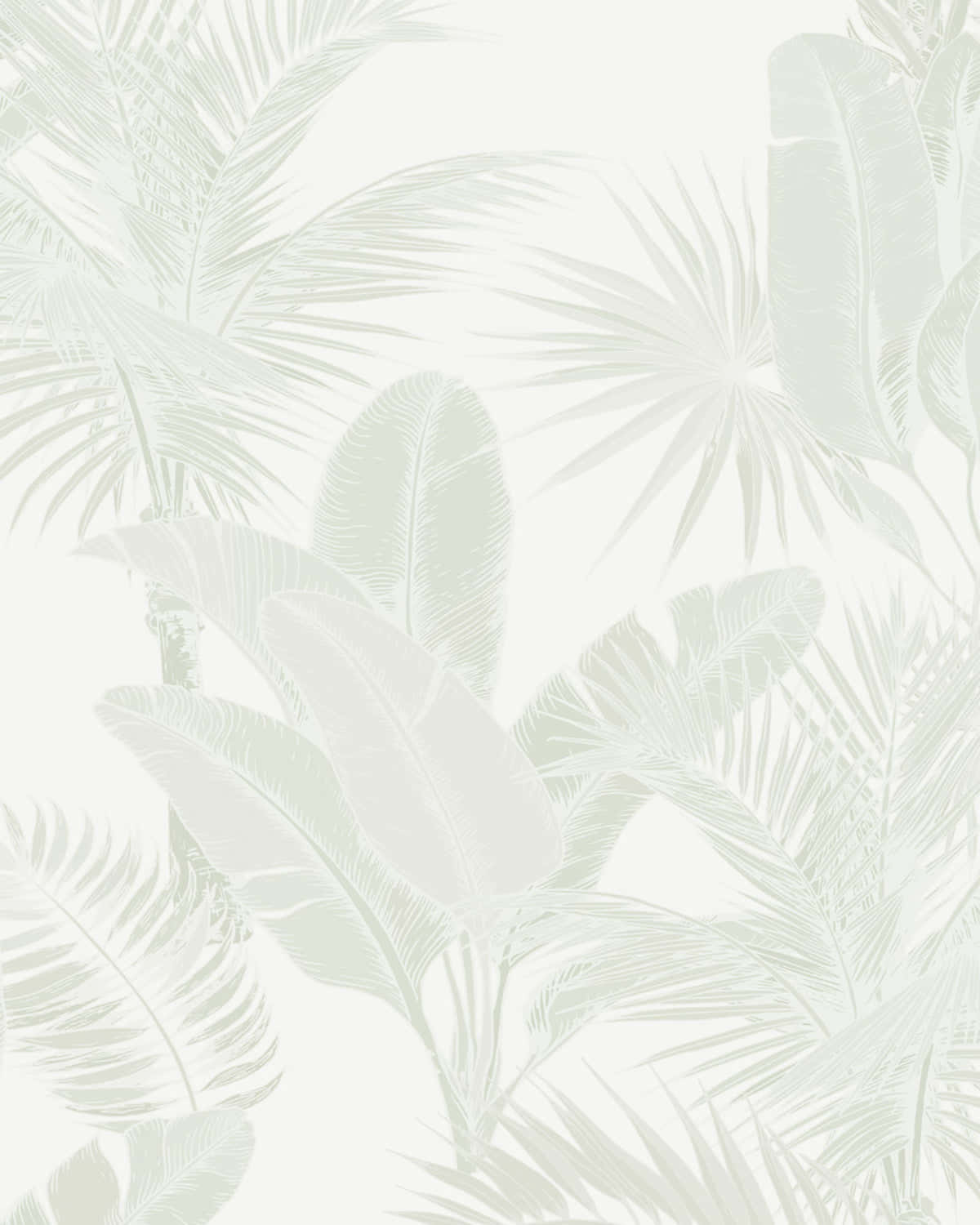 A Wallpaper With Palm Leaves And Leaves