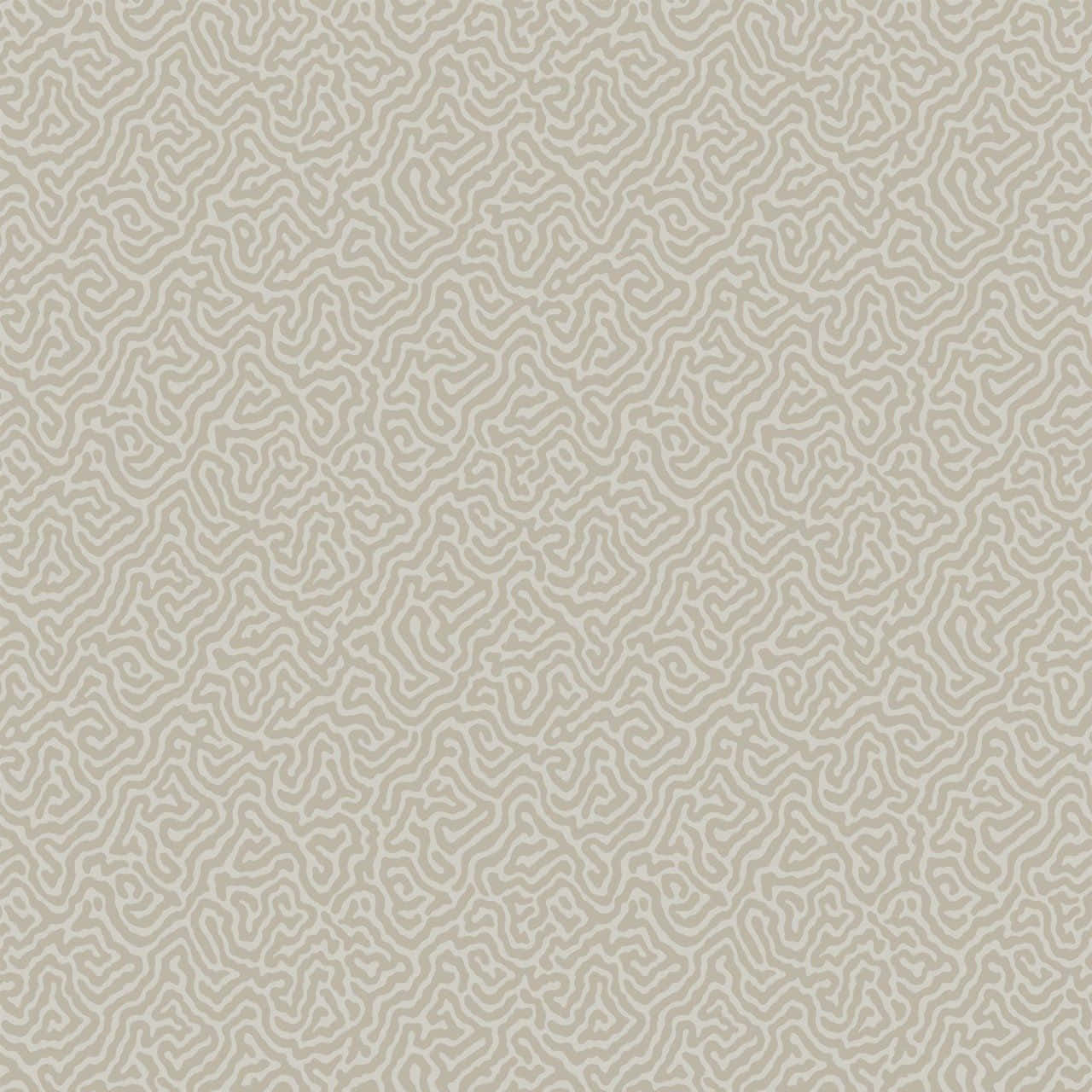 Neutral Colors Background