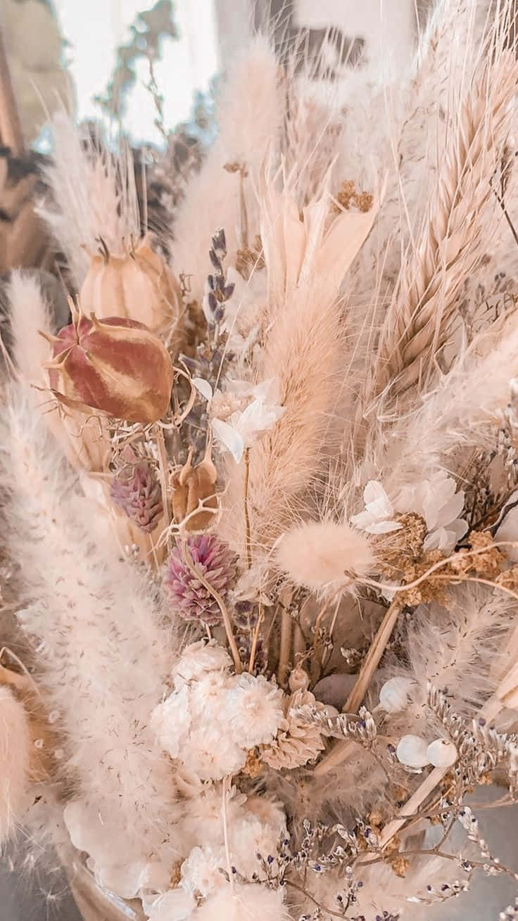 Dried Flowers With Neutral Colors Aesthetic Wallpaper
