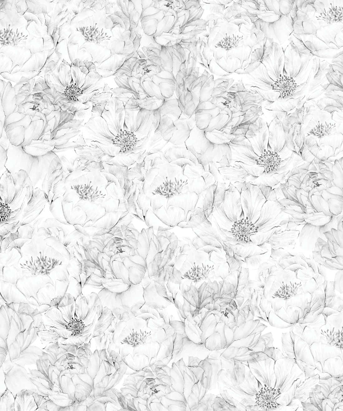Neutral_ Floral_ Pattern_ Background.jpg Wallpaper