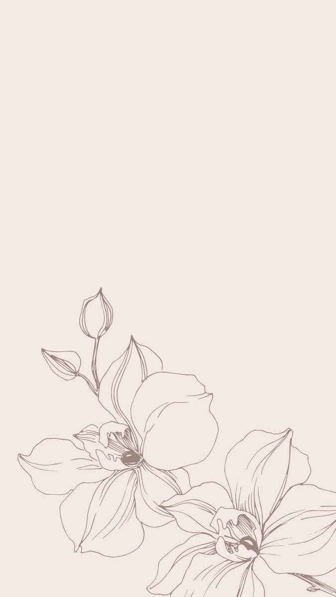 Neutral Iphone Flower Sketch Wallpaper