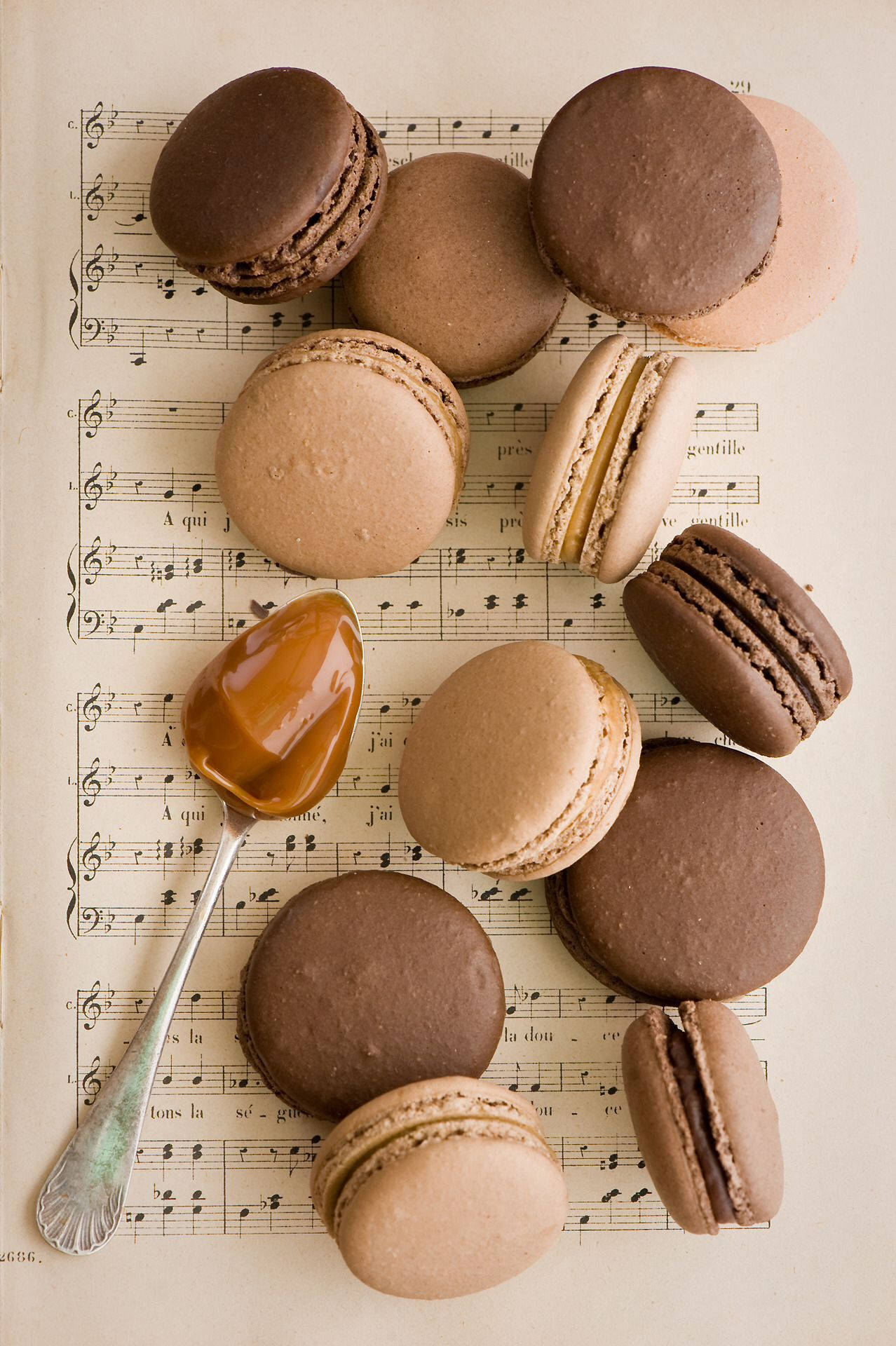 Neutral Iphone Macaroons Picture
