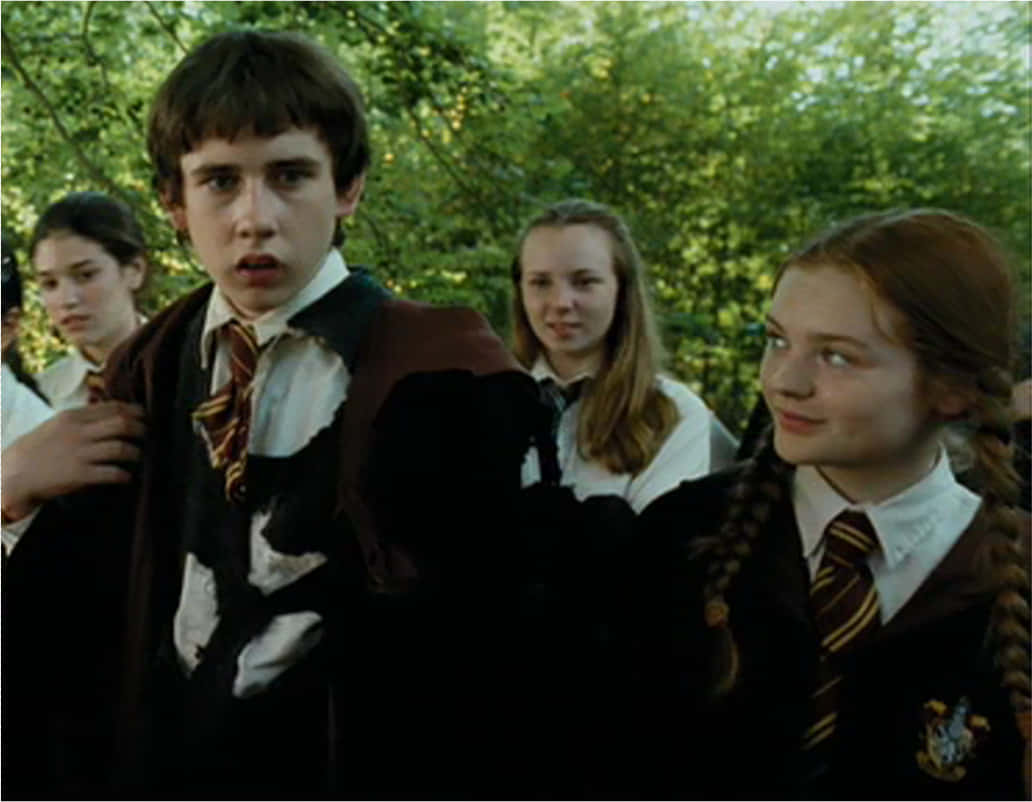 Neville Longbottom: The Growth of a True Gryffindor Wallpaper