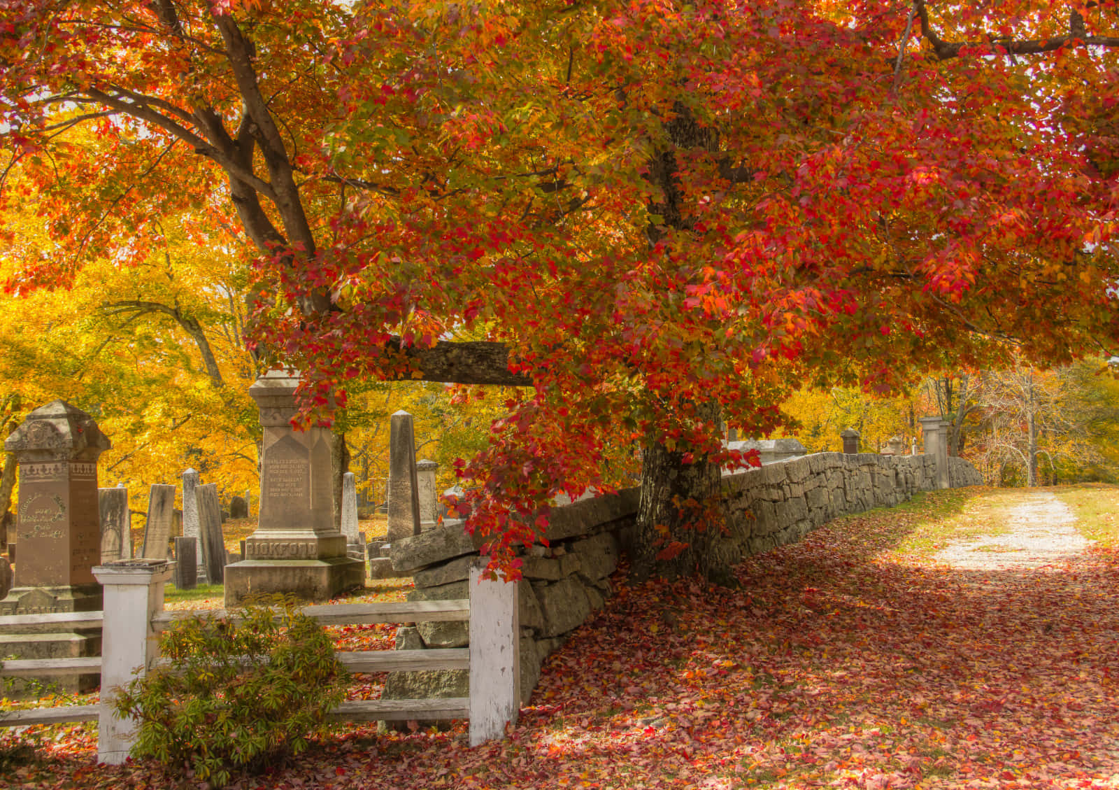 Enjoying A Beautiful New England Autumn Wallpaper