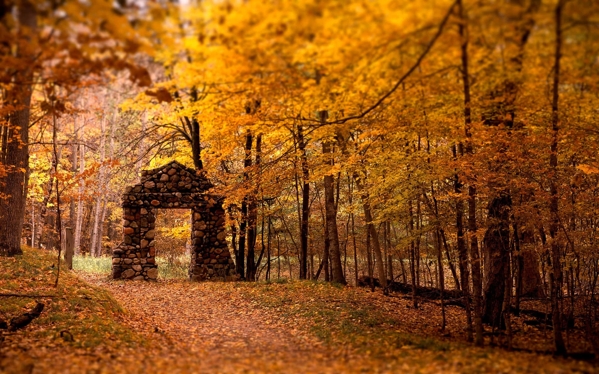 Erlebeeinen Farbenfrohen Herbst Im Acadia Nationalpark In Maine. Wallpaper