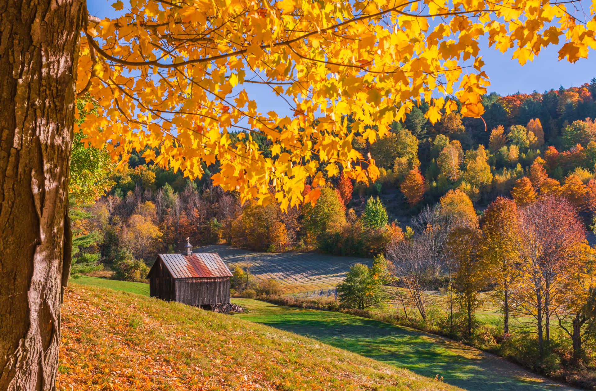 "A cozy New England Autumn morning" Wallpaper