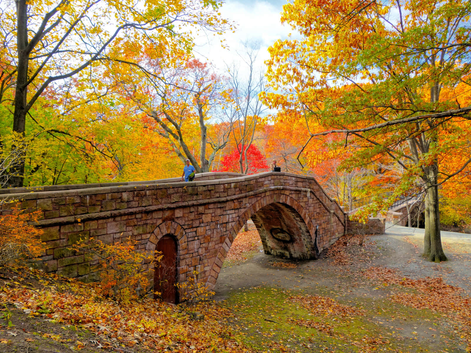 En fredelig New England-efterårsskov i flammerige farver. Wallpaper