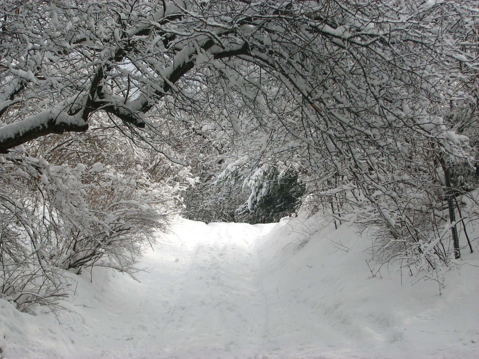 Impresionantespaisajes Invernales De New Hampshire Fondo de pantalla
