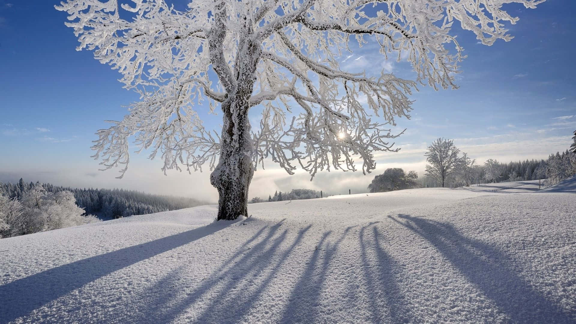Sænk dig i den mystiske skønhed fra New Hampshire Vinter. Wallpaper