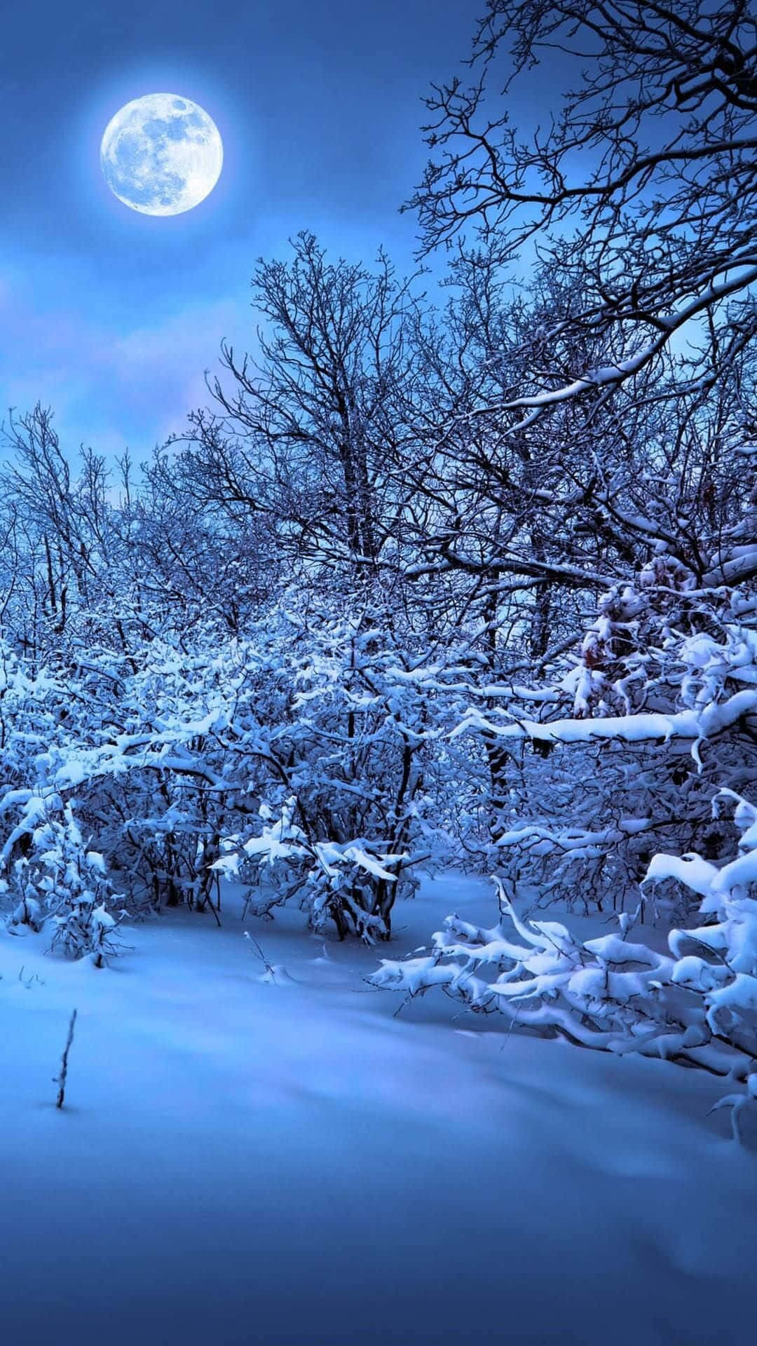 Artedigital De Luna En La Noche De Invierno En New Hampshire. Fondo de pantalla