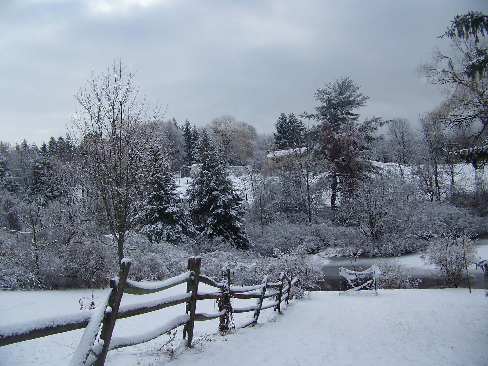 Godendodella Bellezza Della Neve Invernale In New Hampshire Sfondo
