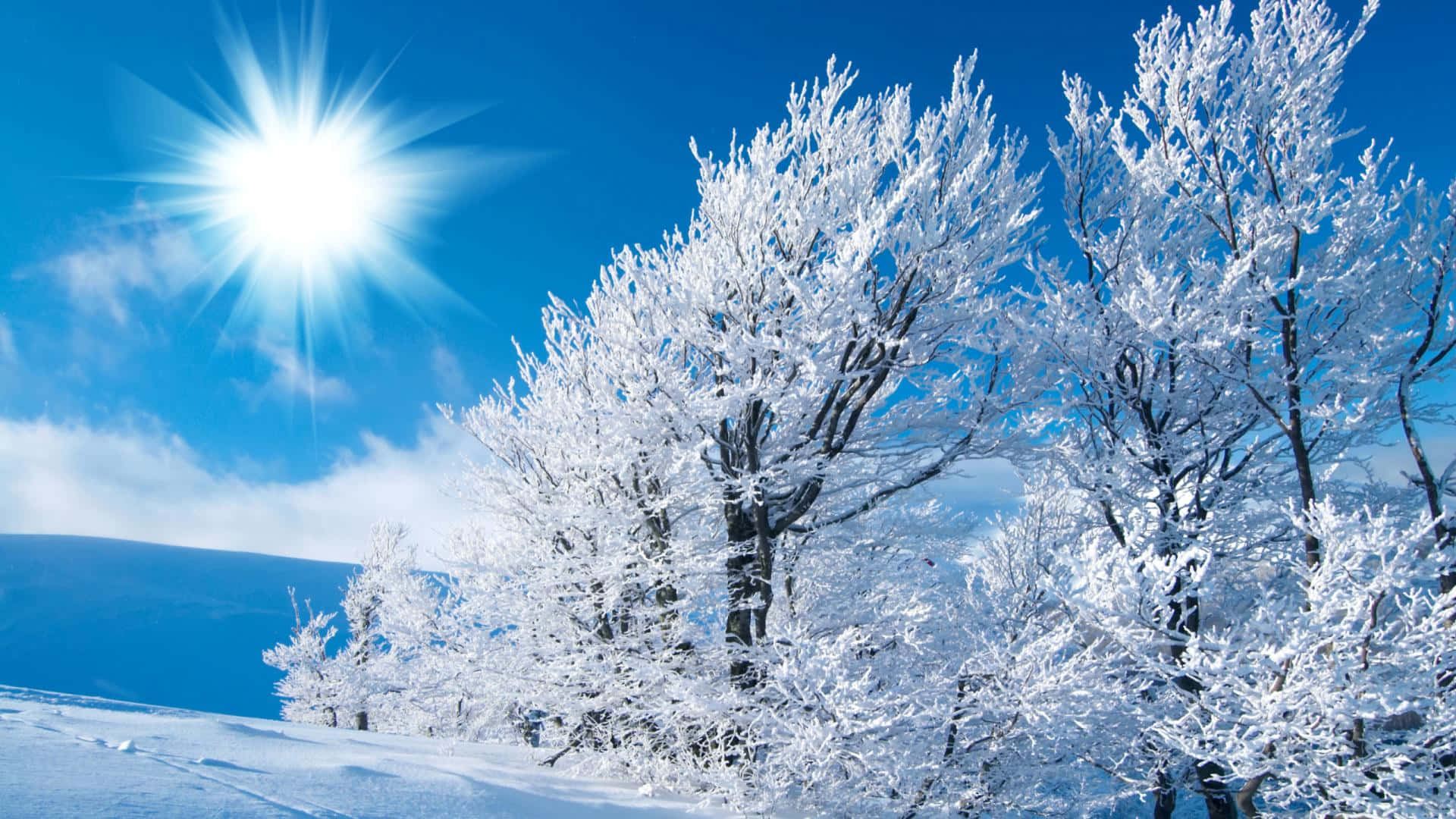 Snow-Covered Winter Wonderland in New Hampshire Wallpaper
