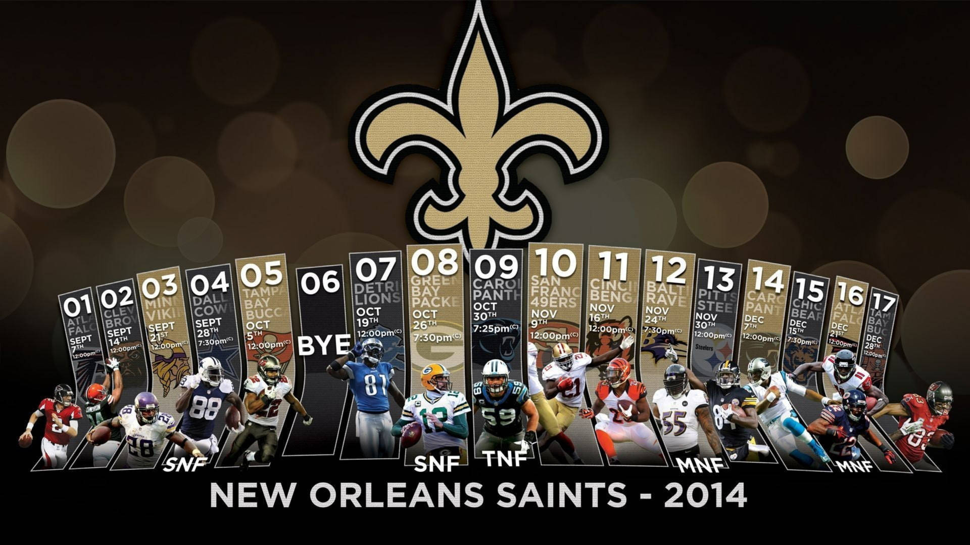 New Orleans Saints 2014 Playoffs