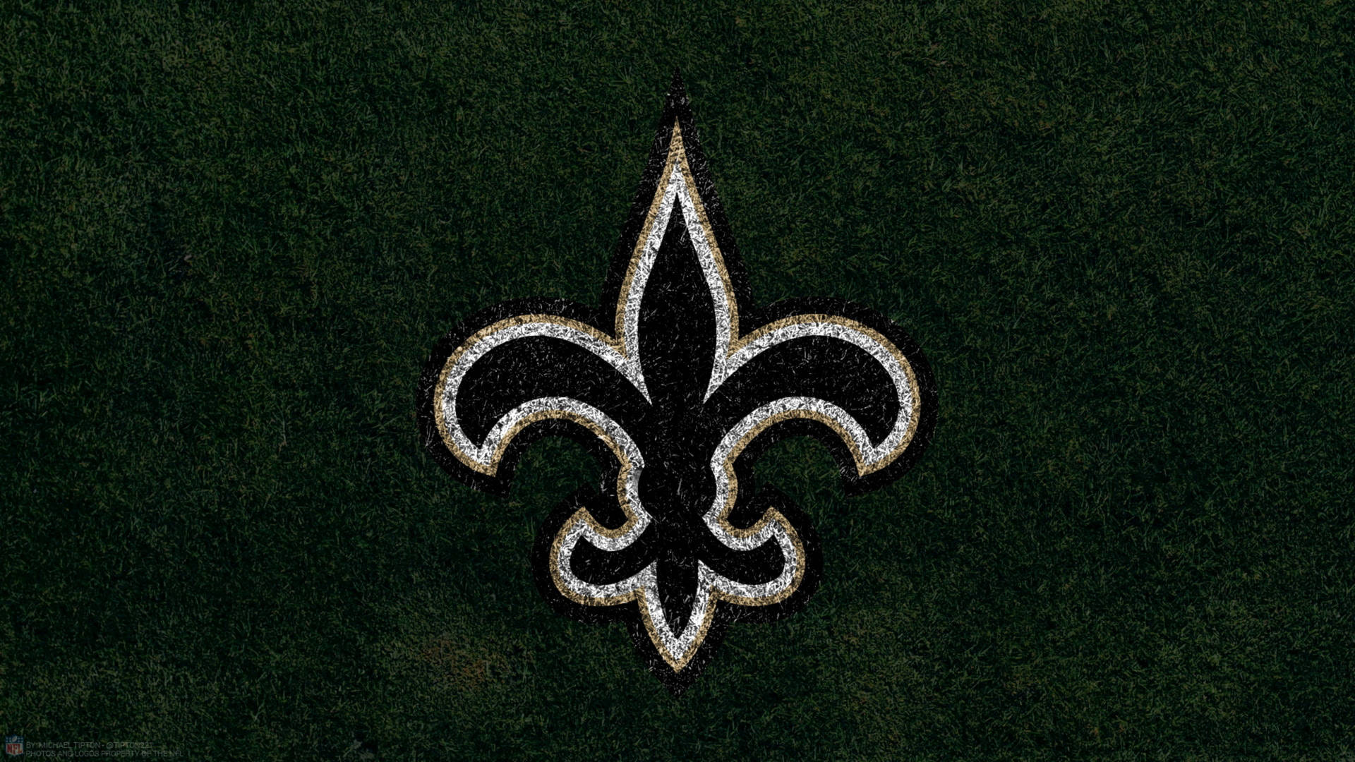 New Orleans Saints Grass Field