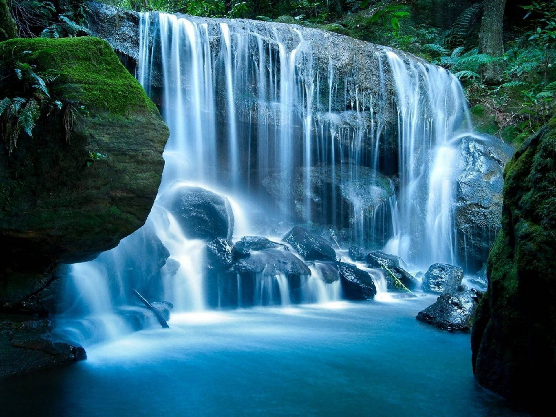 Nuovo Galles Del Sud Blue Mountain Falls Sfondo