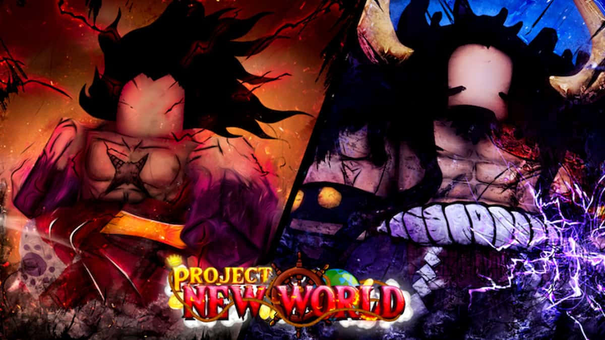 One Piece Project New World