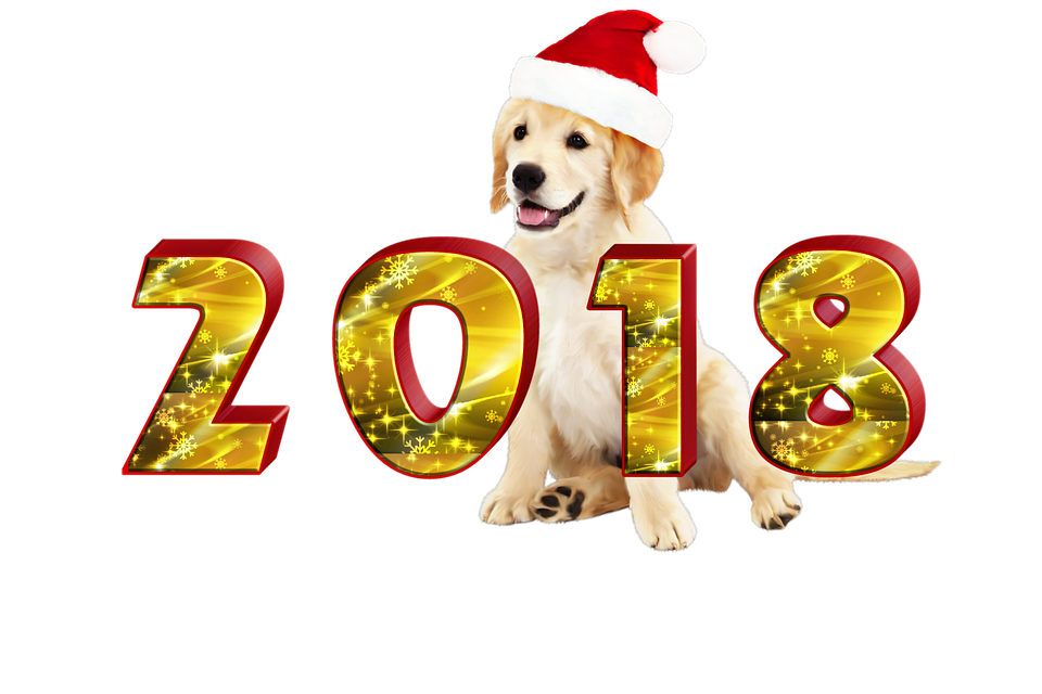New Year2018 Golden Retriever Santa Hat PNG