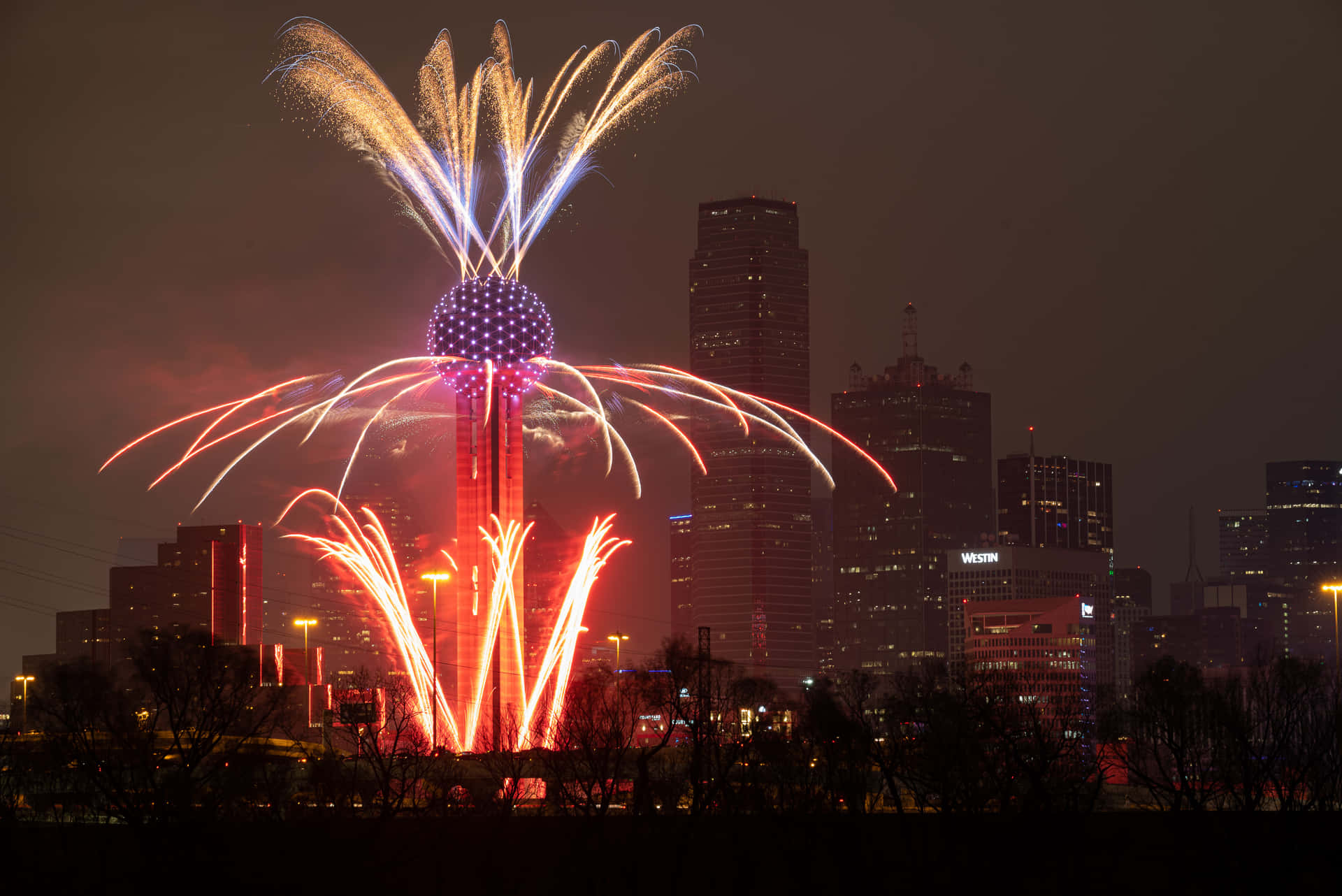 New Year's Firework Celebration