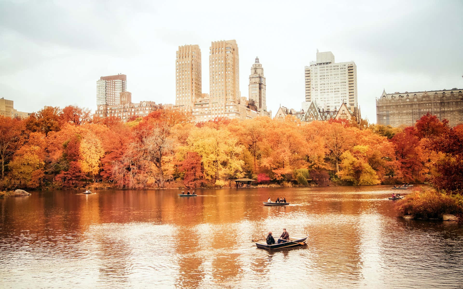 Central Park In The Fall