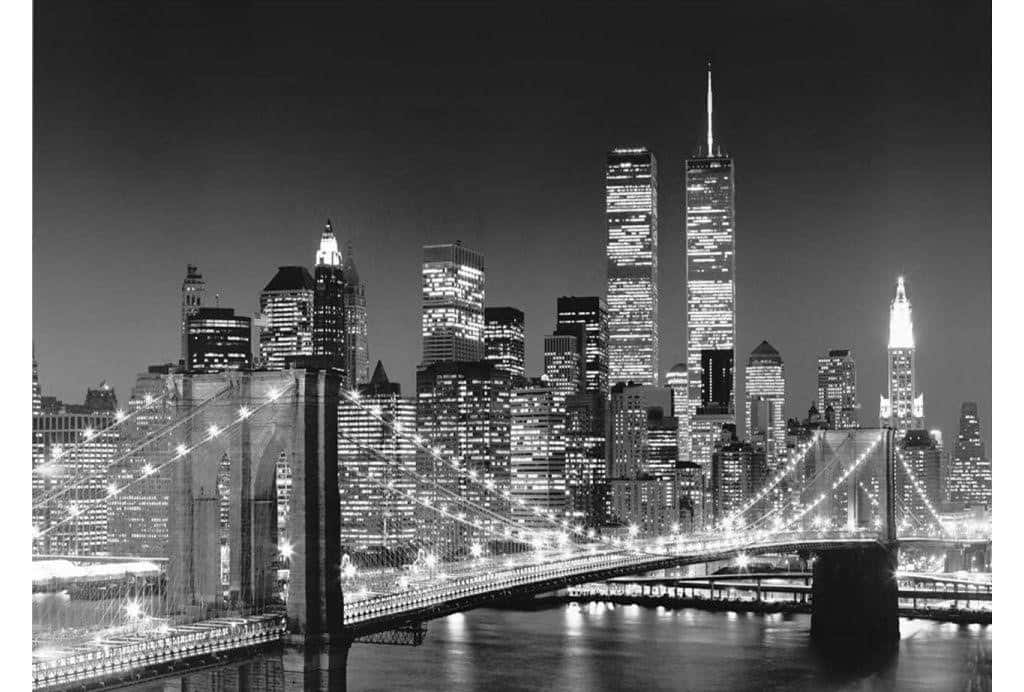 Beautiful Bright Lights Illuminating New York City