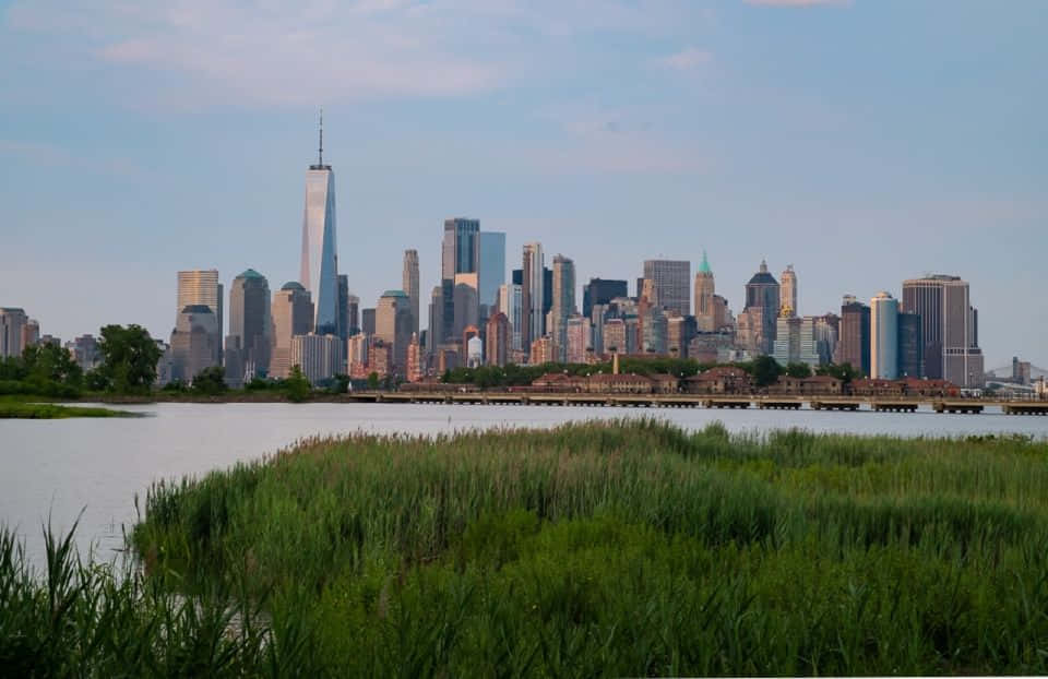 New_ York_ City_ Skyline_ View_ From_ Park Wallpaper