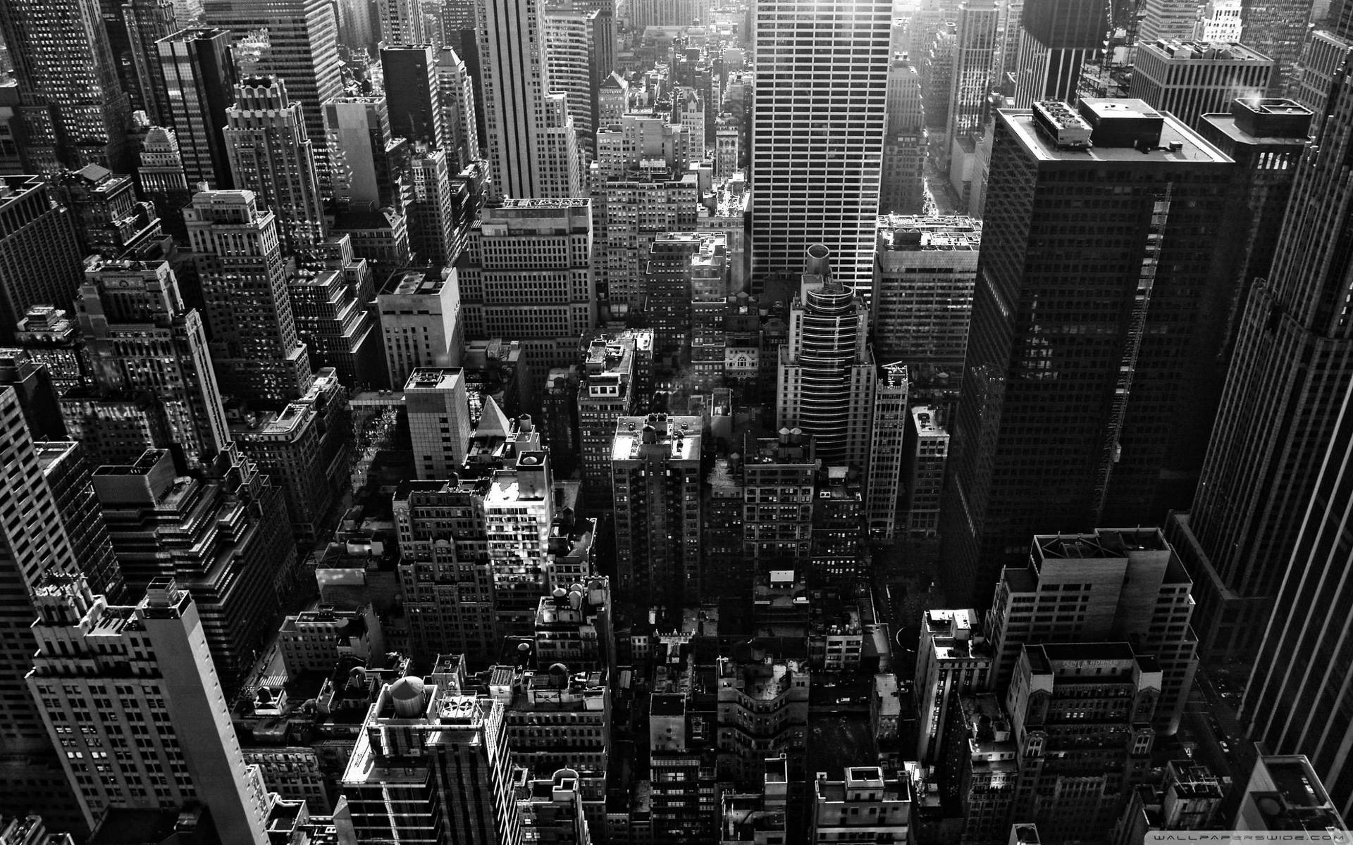 New York Hd Black And White Skyscrapers